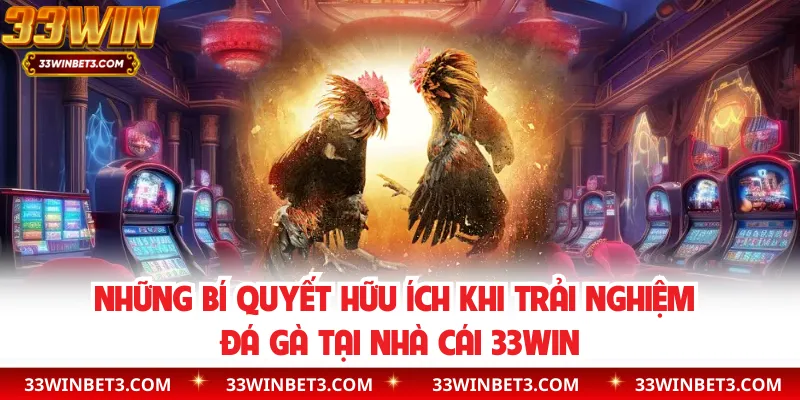 Những bí quyết hữu ích khi trải nghiệm đá gà tại nhà cái 33WIN